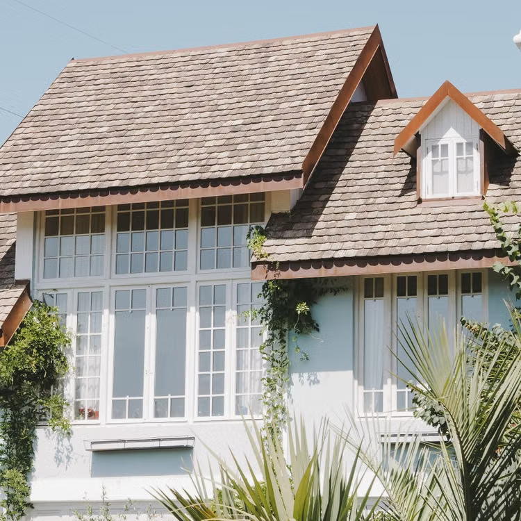 Two-story cottage home with white multi-pane windows, a roof, and climbing green vines
