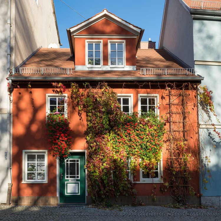 Small orange house with a green door, white windows, and green vines on the front